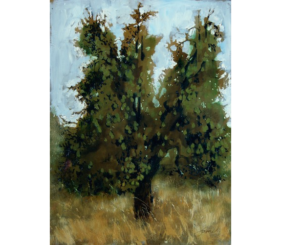 "A Pear Tree" - Carla Louise Paine